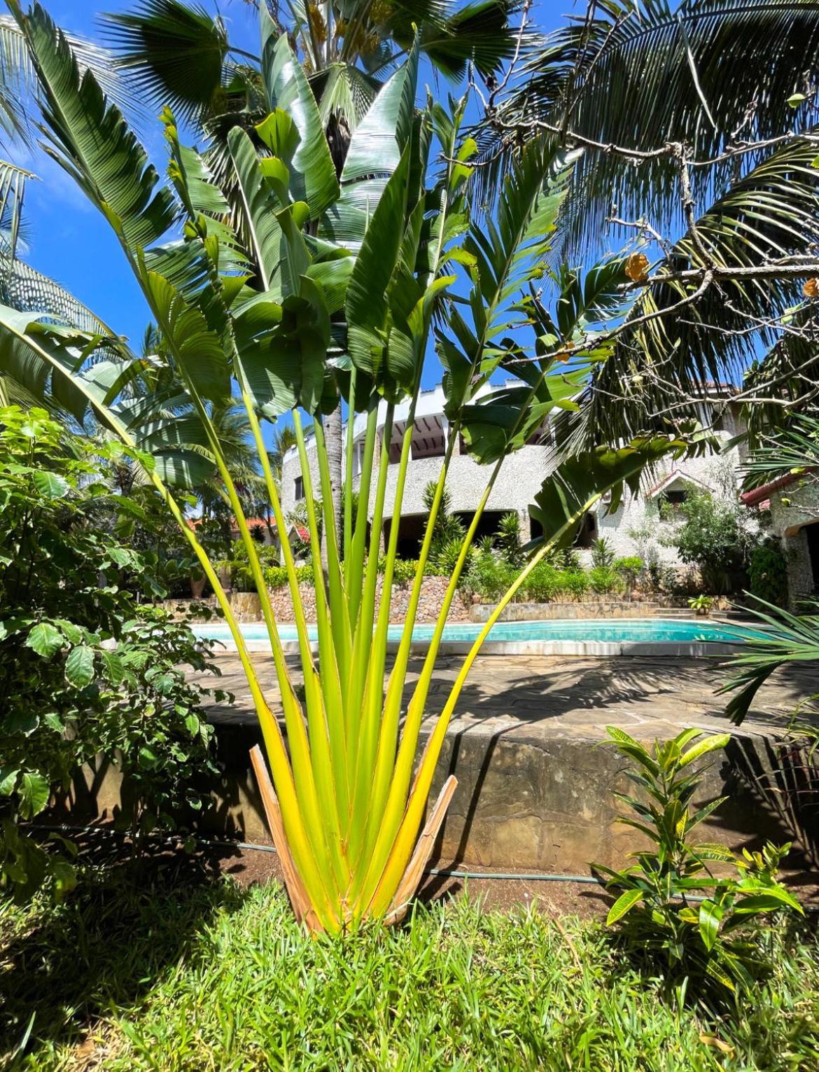 Tembo Village Watamu Exteriér fotografie